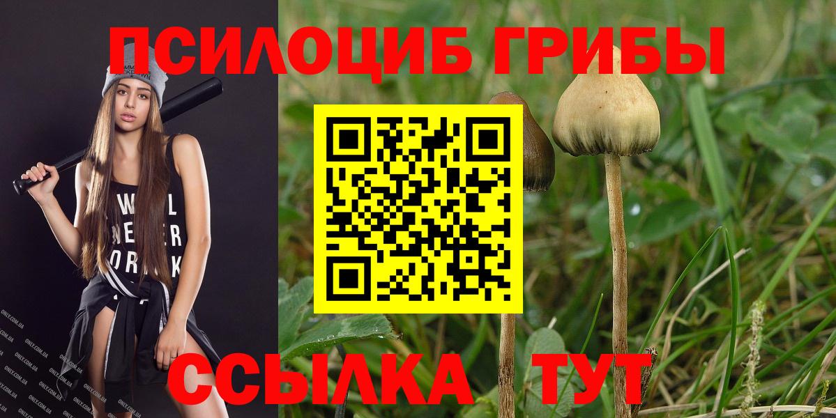 Галлюциногенные грибы мицелий Урюпинск